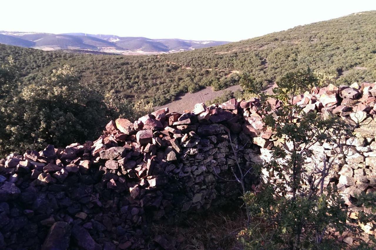 Villa El Gallo Los Cortijos Εξωτερικό φωτογραφία
